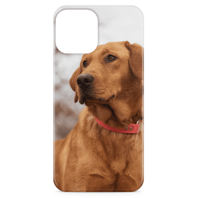 iPhone 12 Pro Photo Case - Snap On for iPhone 12 Pro