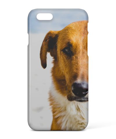 iPhone 6 Photo Case - Snap On