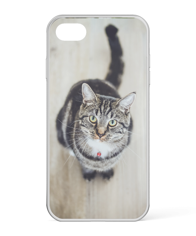 iPhone 8 Picture Case | Add Photos and Designs | Create Now