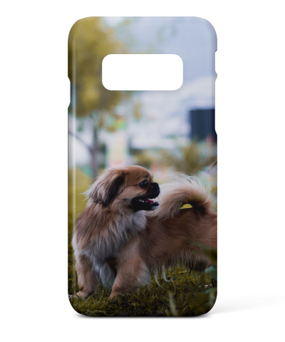 Samsung Galaxy Note 8 Photo Case - Snap On