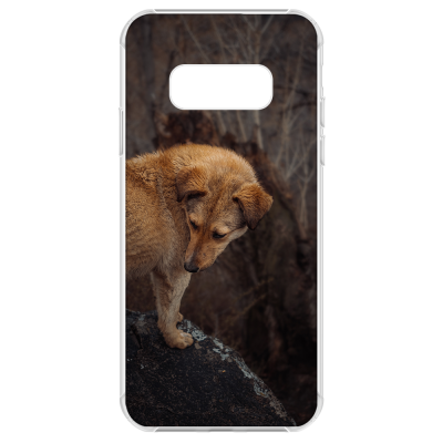 Samsung S10e Picture Case - Clear Bumper for Samsung Galaxy S10e