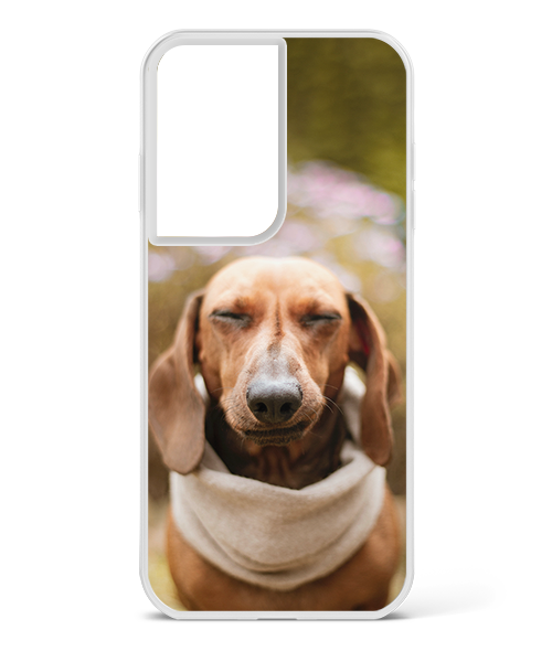 Samsung Galaxy S21 Ultra Picture Case