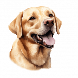 Dogs