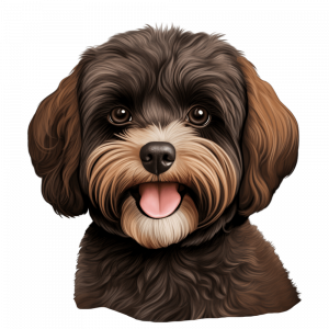 Dogs
