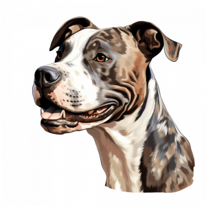 Dogs