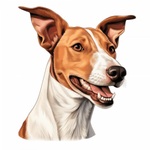 Dogs