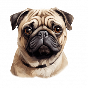 Dogs