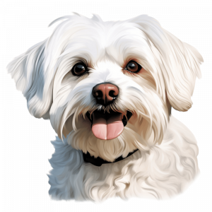 Dogs