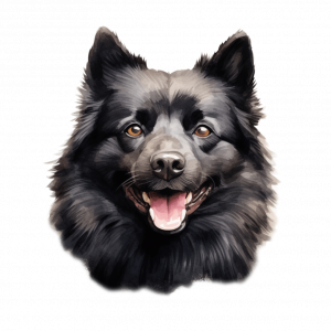 Dogs