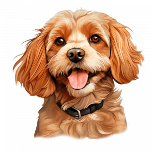 Dogs