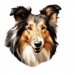 Dogs