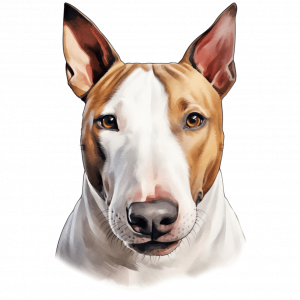 Dogs