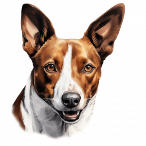 Dogs