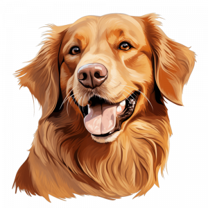 Dogs