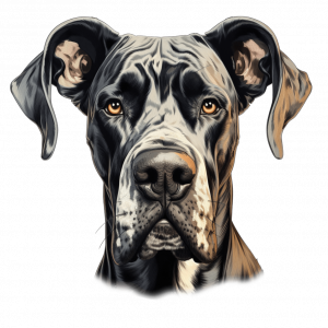 Dogs