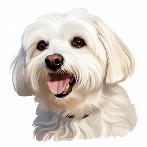 Dogs