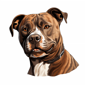 Dogs