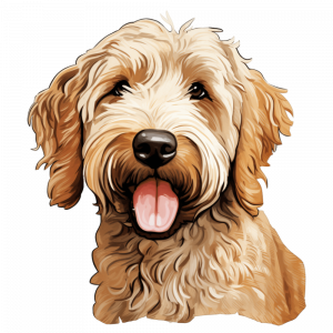 Dogs