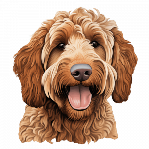 Dogs