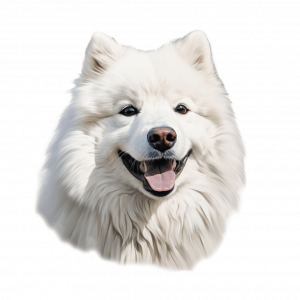 Dogs