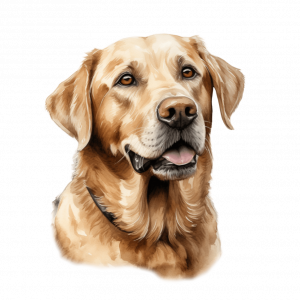 Dogs