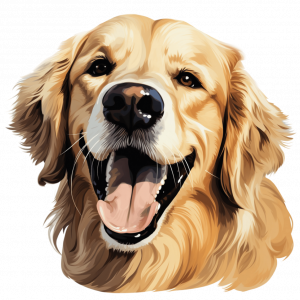 Dogs