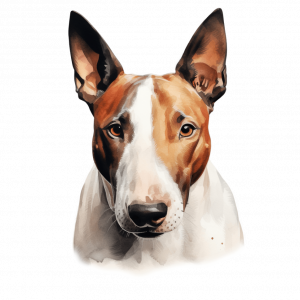 Dogs
