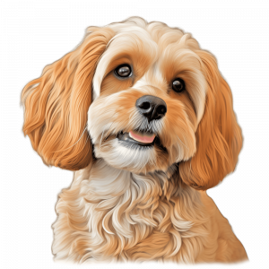 Dogs