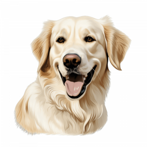 Dogs