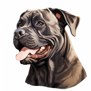 Dogs