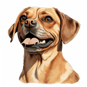 Dogs