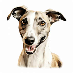Dogs