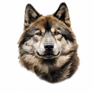 Dogs