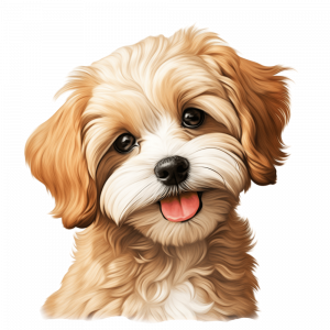 Dogs