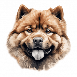 Dogs