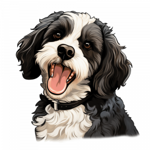 Dogs