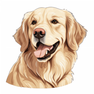 Dogs
