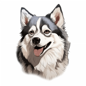 Dogs