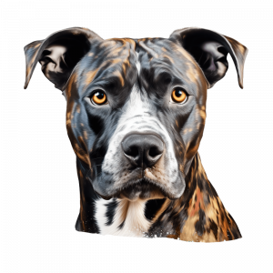 Dogs